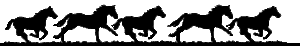 Dieren Paarden Dieren plaatjes Dravende Zwarte Paarden