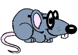 Dieren Ratten Dieren plaatjes 