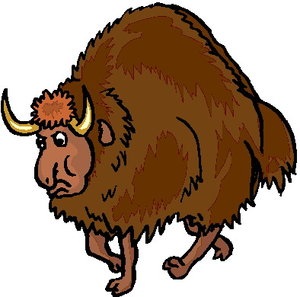Dieren Dieren plaatjes Stier 