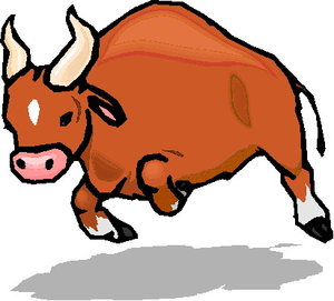 Dieren Dieren plaatjes Stier 