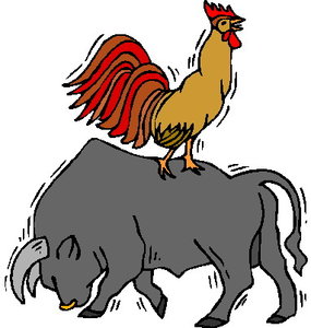 Dieren Dieren plaatjes Stier 