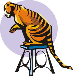 Dieren Tijger Dieren plaatjes 