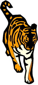 Dieren Tijger Dieren plaatjes 
