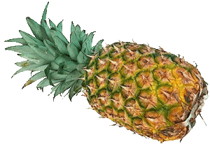 Eten en drinken Ananas Eten en drinken plaatjes 