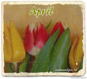 April Facebook plaatjes 