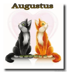 Augustus Facebook plaatjes 