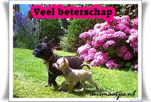 Beterschap Facebook plaatjes 