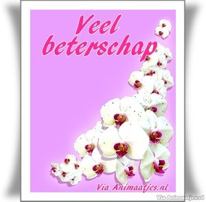 Beterschap Facebook plaatjes 