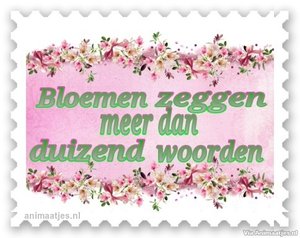 Facebook plaatjes Bloemen zeggen meer dan duizend woorden 