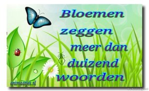 Facebook plaatjes Bloemen zeggen meer dan duizend woorden 