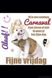 Carnaval Facebook plaatjes 