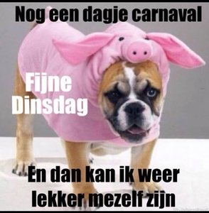 Carnaval Facebook plaatjes 