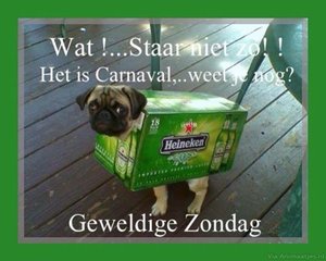 Carnaval Facebook plaatjes 