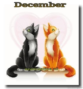 December Facebook plaatjes 