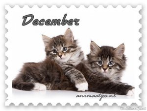 December Facebook plaatjes 