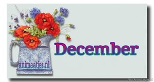 December Facebook plaatjes 