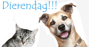 Dierendag Facebook plaatjes 