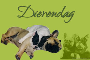 Dierendag Facebook plaatjes 