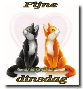 Dinsdag Facebook plaatjes 