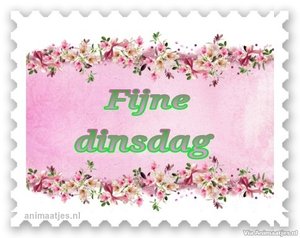 Dinsdag Facebook plaatjes 