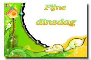 Dinsdag Facebook plaatjes 