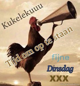 Dinsdag Facebook plaatjes Kukelekuuu Tijd Om Op Te Staanfijne Dinsdag Xxx