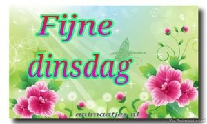 Dinsdag Facebook plaatjes 