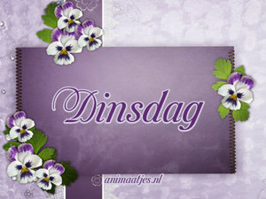 Dinsdag Facebook plaatjes 