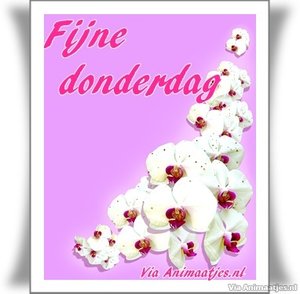 Donderdag Facebook plaatjes 