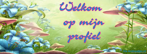 Facebook plaatjes Facebook covers 