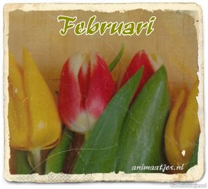 Februari Facebook plaatjes 