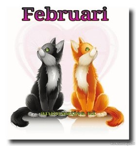 Februari Facebook plaatjes 