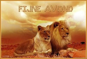 Fijne avond Facebook plaatjes Facebookplaatje Fijne Avond Leeuwen Bij Zonsondergang