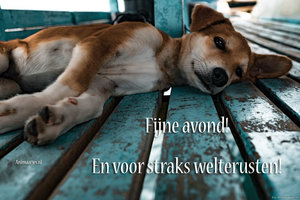 Fijne avond Facebook plaatjes Hond, Fijne Avond, Slaap Lekker, Welterusten