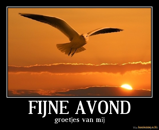 Fijne avond Facebook plaatjes Fijne Avond, Meeuw, Zonsondergang