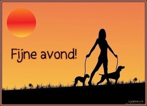Fijne avond Facebook plaatjes Facebook Plaatje Fijne Avond Vrouw Met Honden Bij Zonsdondergang