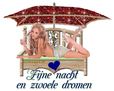 Fijne nacht Facebook plaatjes Fijne Nacht En Zwoele Dromen