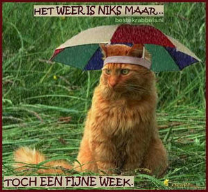 Fijne week Facebook plaatjes 