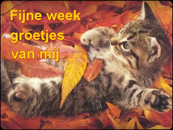 Fijne week Facebook plaatjes 