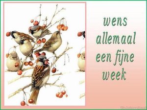 Fijne week Facebook plaatjes 