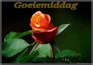 Goedemiddag Facebook plaatjes 