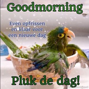 Goedemorgen Facebook plaatjes 