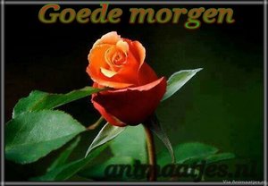 Goedemorgen Facebook plaatjes 