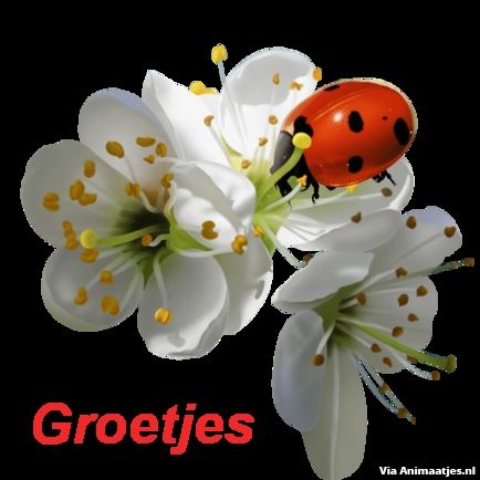 Groetjes Facebook plaatjes 