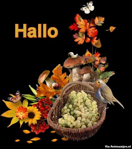 Hallo Facebook plaatjes Hallo Herfst