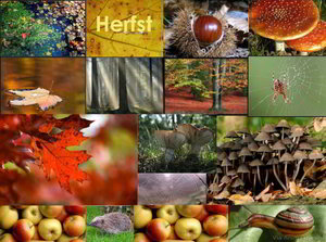 Herfst Facebook plaatjes 