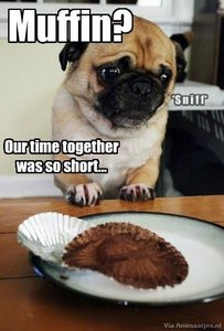 Humor Facebook plaatjes 