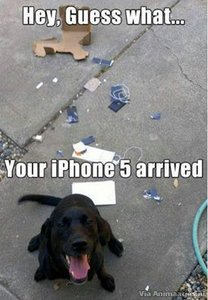 Humor Facebook plaatjes 