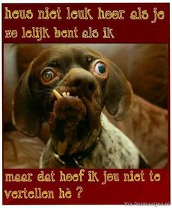 Humor Facebook plaatjes 