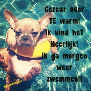 Humor Facebook plaatjes 